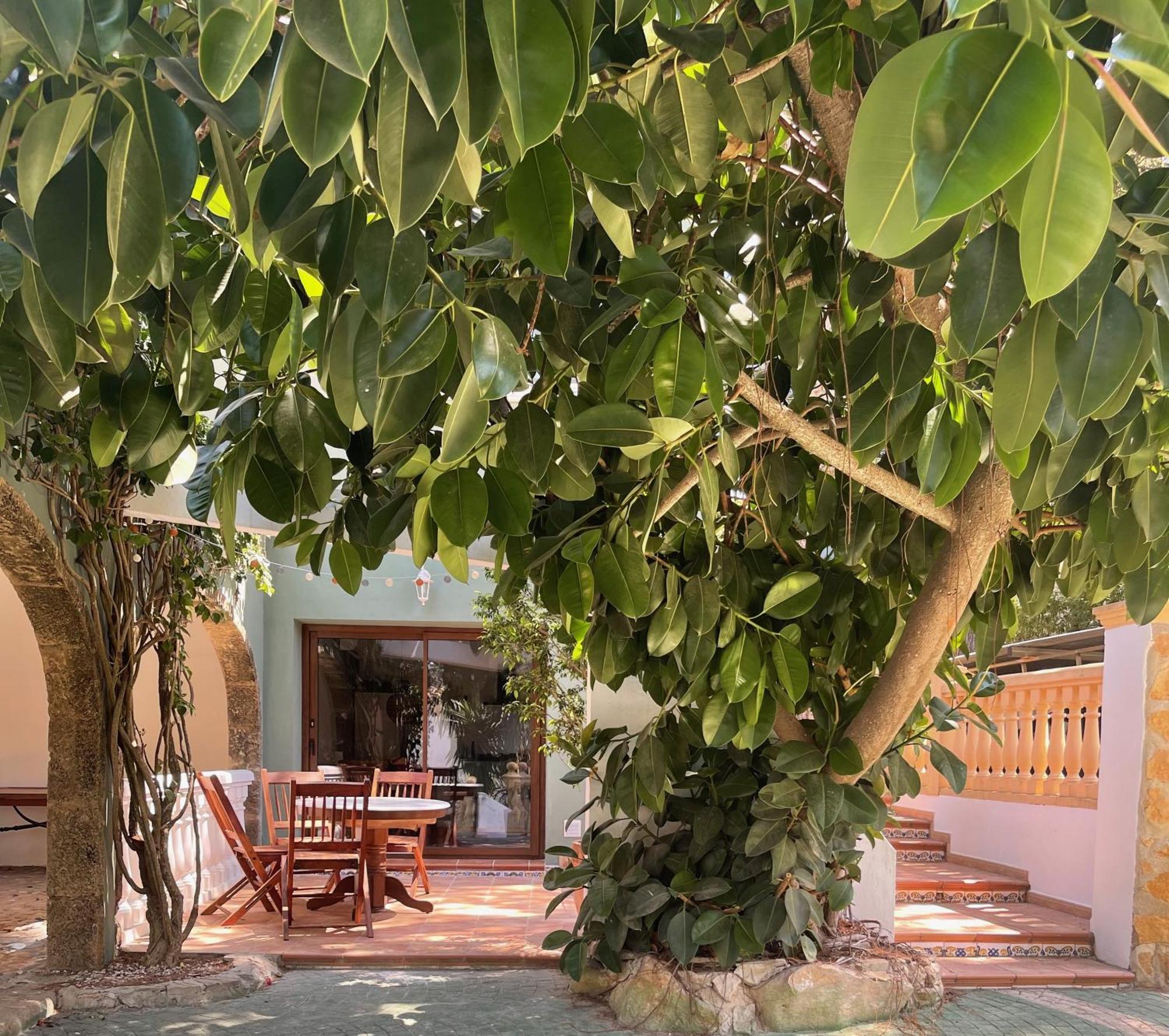 Jávea La Posada Paradiso מראה חיצוני תמונה